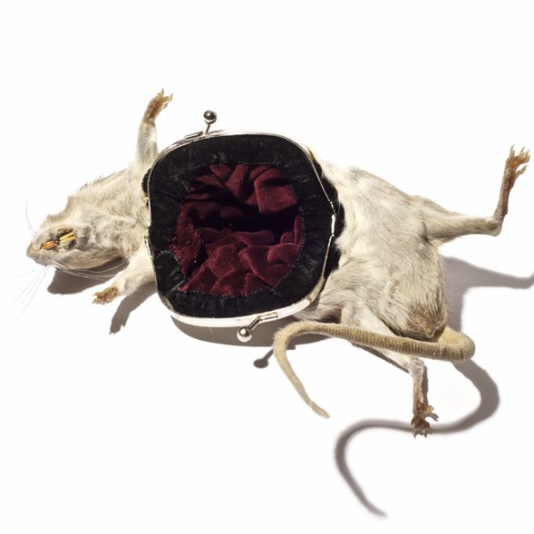2_5