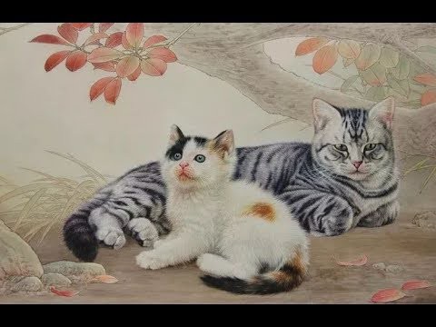 犬猫動画 可爱漂亮有趣的猫咪 人见人爱 Cute Cat 猫かわいい 面白い猫 猫の動画可愛い Funny Cat Video Pet 可愛い猫動画 長さ 7 43 犬猫おもしろ動画まとめ