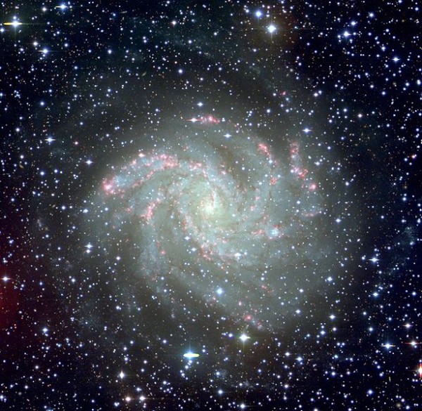 614px-SpiralGalaxy_NGC6946