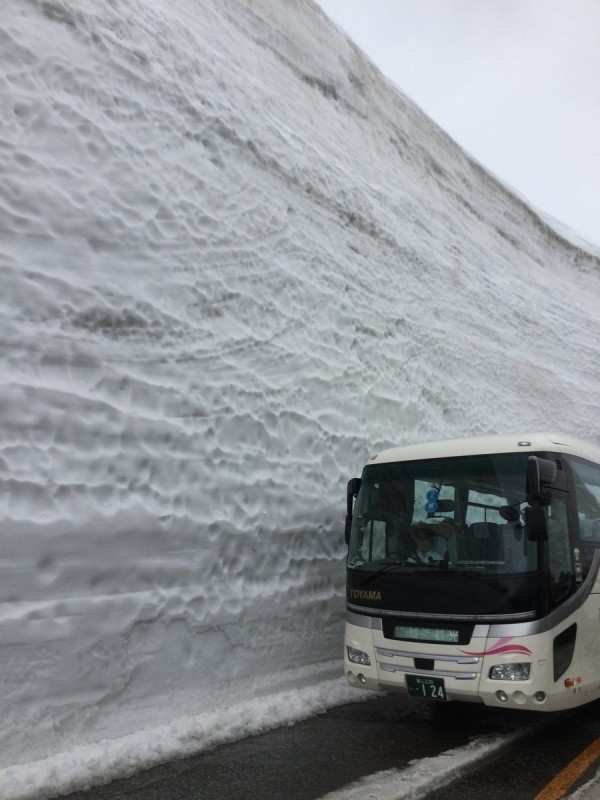 20F7343E-794D-40DF-928C-297D029341B3