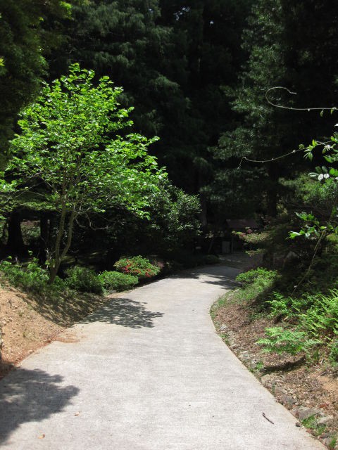 徳島県名西郡神山町 卑弥呼の宮城跡 美女丸が開基 高根山 悲願寺 神戸ストリーム