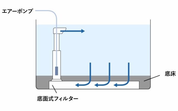 底面フィルターの種類 アクアリウム情報 アンテナサイト アクアリウムの輪