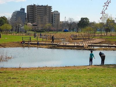 荒川区 尾久の原公園 思いつくまま