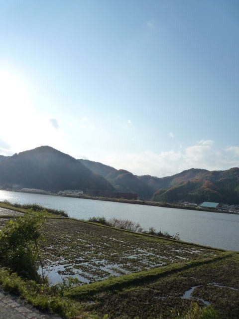 豊岡市 玄武洞 紅葉 いい天気 なんとなくな毎日 兵庫 豊岡 但馬ネタ