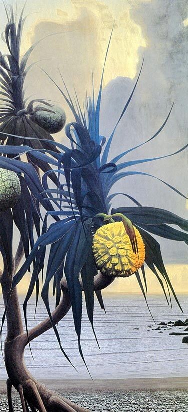 東京都美術館で田中一村展が開幕 : クラシック音楽とアート