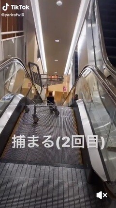 動画 陽キャ エスカレーターで上からカート落としたらおもろいやろw 女子アナお宝画像速報 5chまとめ