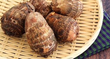 画像 とんでもなくエッチな里芋が掘れてしまうwtwtwtwtwtwtwtwtwt 女子アナお宝画像速報 5chまとめ