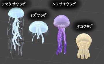 動画 クラゲ なんやこの輪っか 女子アナお宝画像速報 5chまとめ