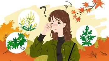 奴 杉 植え た 何故日本に杉？が大量に植えられたのか？日本の山？はほとんど杉
