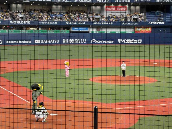 24/8/20 阪神vsヤクルト 公式戦 観覧記（京セラドーム大阪、ロイヤル 