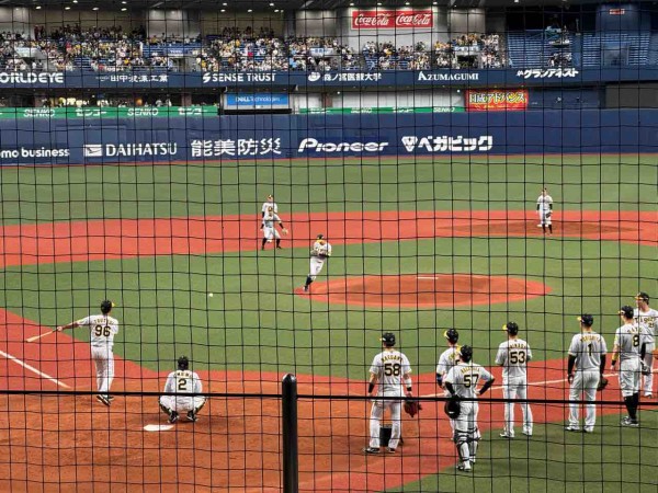 24/8/20 阪神vsヤクルト 公式戦 観覧記（京セラドーム大阪