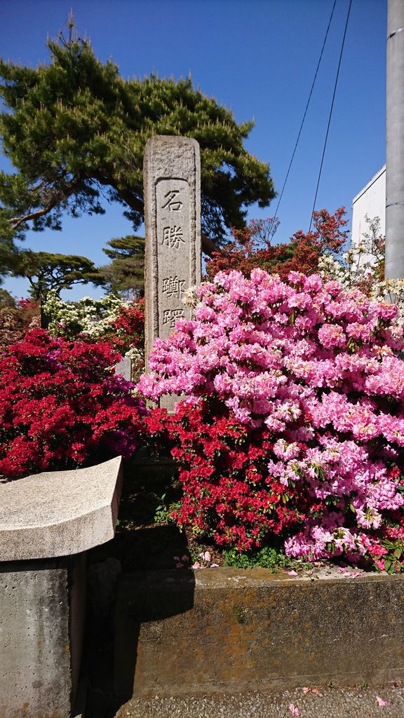 つつじが丘公園 東武トレジャーガーデン 茂林寺 あしかがフラワーパーク 5月2日 ヒナちゃんのblog
