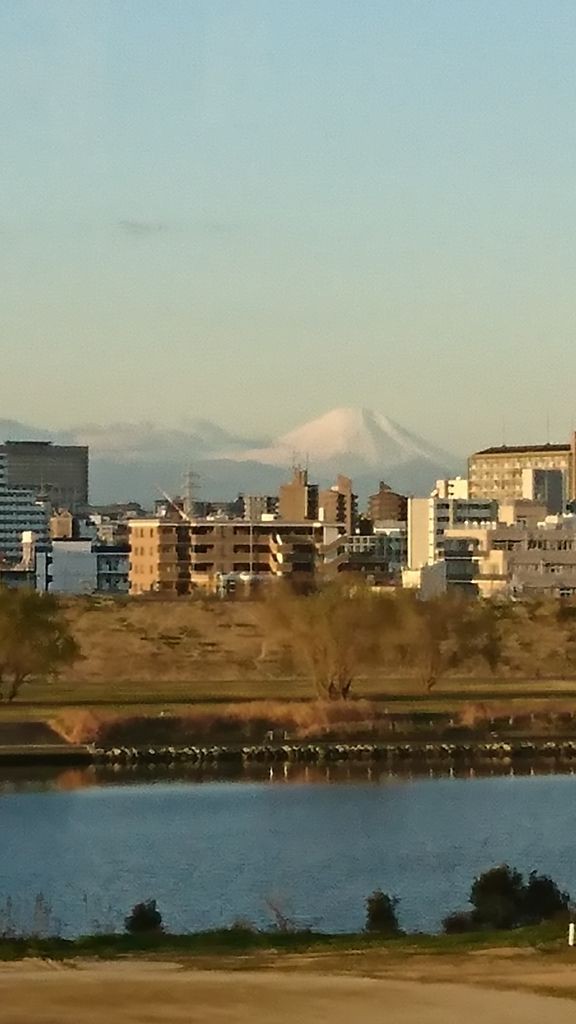 世界遺産の地 日光と関東三大師のひとつ佐野厄除け大師 1月1日 ヒナちゃんのblog
