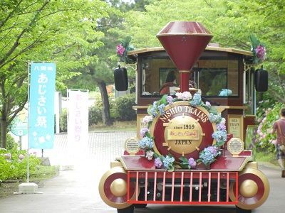 思い出の八景島シーパラダイスへ 6月27日 ヒナちゃんのblog
