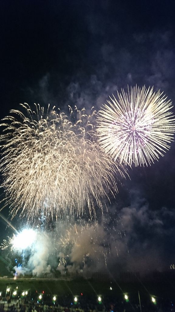 第105回足利花火大会 8月3日 ヒナちゃんのblog