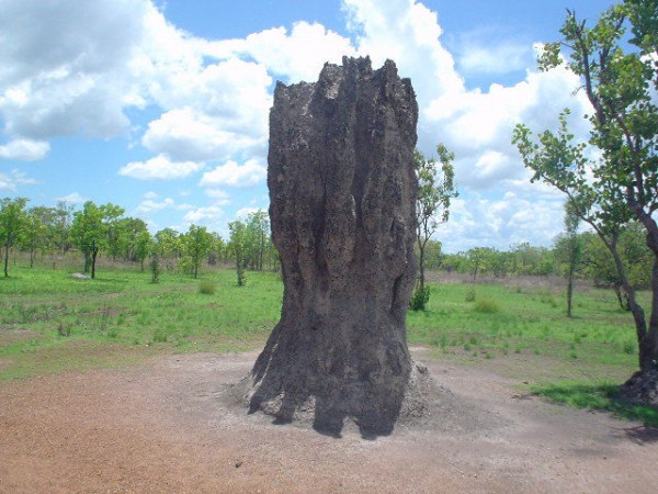 オーストラリア Top End kishi の Home