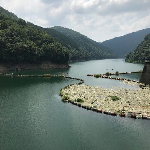 天ケ瀬ダム 天ケ瀬吊り橋 京都府宇治 旅 美味しいものに囲まれて