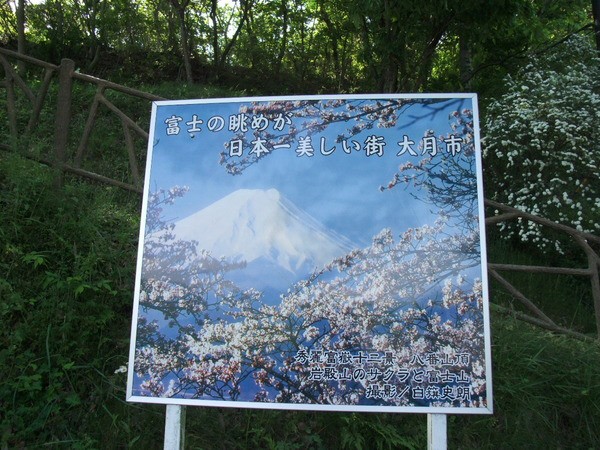 今日の歴史探訪 岩殿山城跡 岩殿山丸山公園 大月 遠近両用