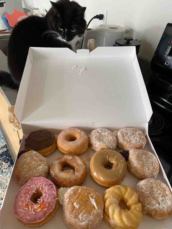 ダンキンドーナツ 訪問まとめ アメリカのtheドーナツ ハワイグルメ ハワイネコ ブログ