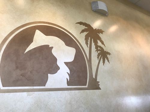 たまさん呼吸困難になって死にかけた ハワイの救急動物病院 ハワイネコ ブログ