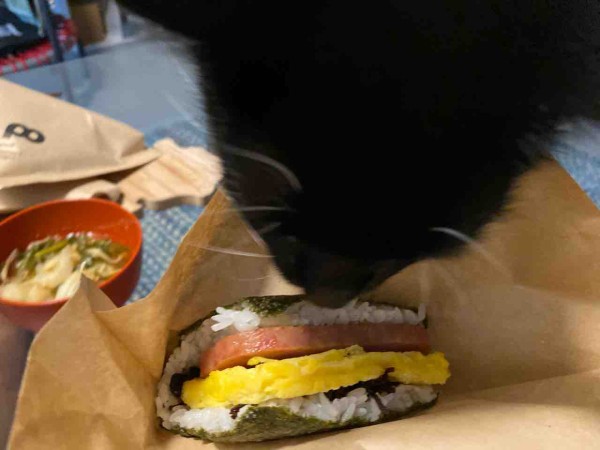 Potama ポーたま ロイヤルハワイアンセンター店 ワイキキ ハワイグルメ ハワイネコ ブログ