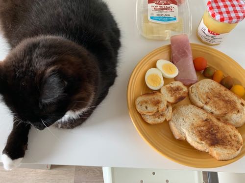 ビーチ グリーンスムージー パルツォーネ ごはん日記 ハワイネコ ブログ