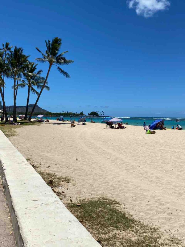 ハワイ オアフ島のビーチ解禁日 アラモアナビーチが混み混み ハワイネコ ブログ