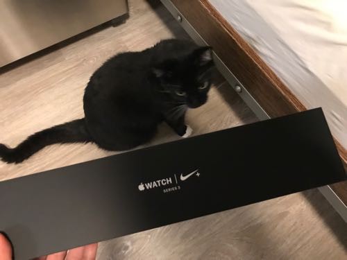 Apple Watch Series 3 Nikeモデル買ってもらった 心拍数楽しい ハワイネコ ブログ Apple Watch Series 3 Nikeモデル買ってもらった 心拍数楽しい ハワイネコ ブログ