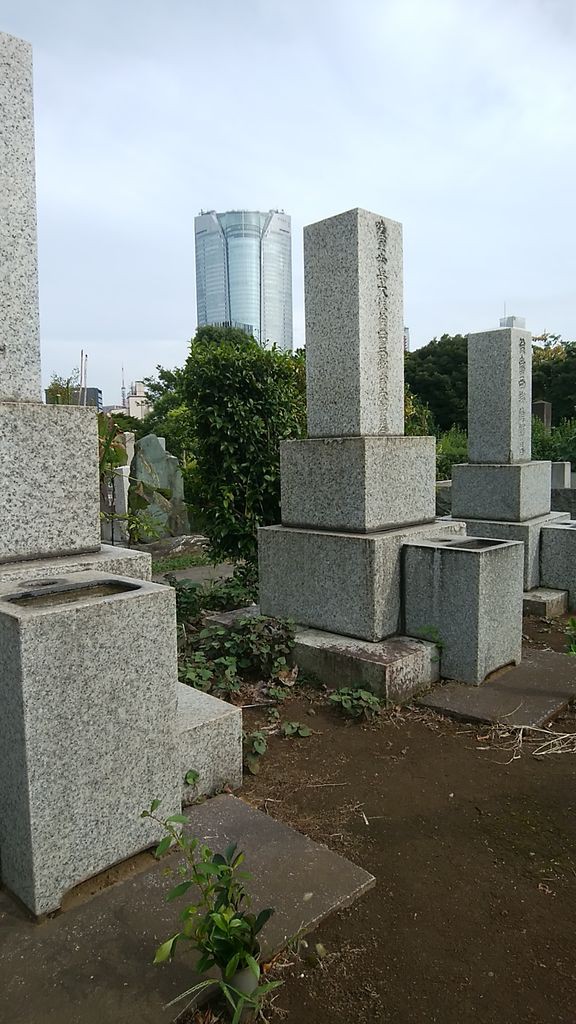 青山霊園まわり 総選挙のこと 熱血 ジャージ校長の日誌 元高校校長 鈴木高弘