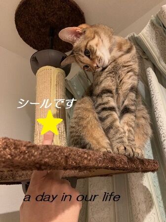 全日空ミュージックスカイホリデー A Day In Our Life