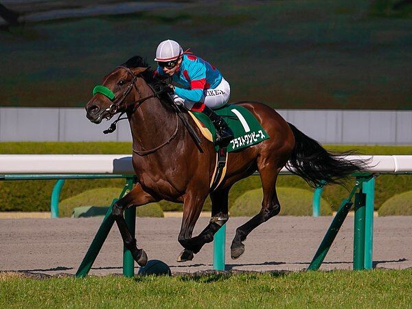 悲報 ブラストワンピース過去最高馬体重で帰厩してしまうwwww 週末は落ち武者