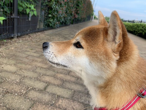 30 超え Life With Ranran Lili