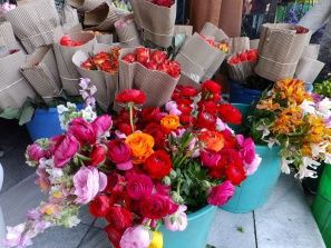 エチオピアの花ビジネス アフリカ植物ものがたり