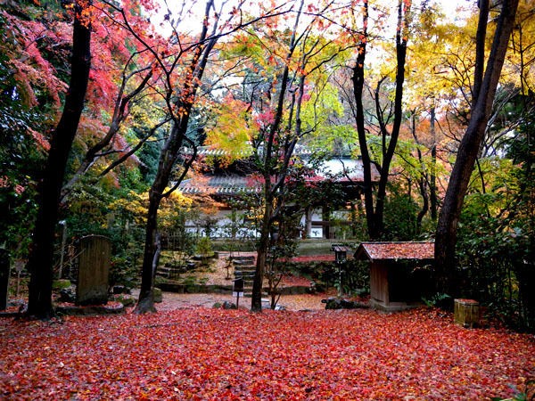長楽寺 八坂神社の最奥にひっそりと佇む 京の隠れるたる名所 甘味処の 紅葉庵 でほっとひといき はんなり京都観光