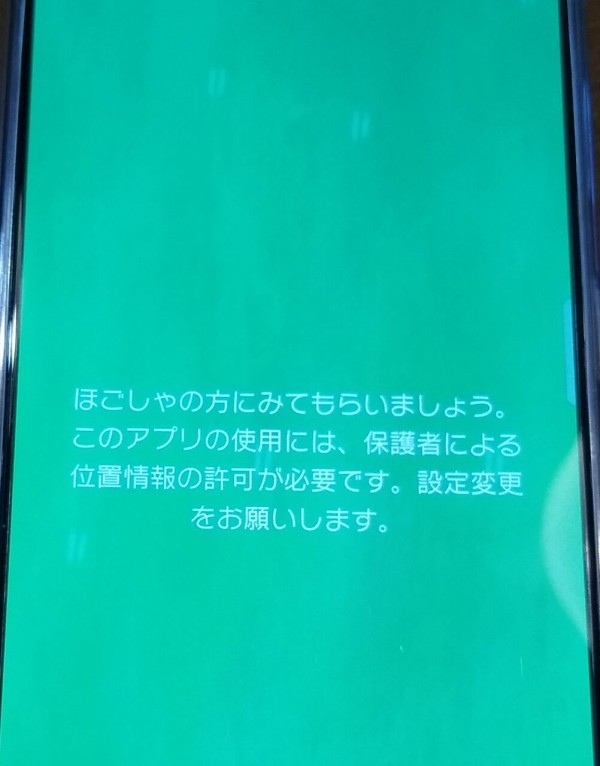 ピクミンブルームで子供のニンテンドーアカウント 子アカウント を連携する時の権限付与 なんとなくと自己満足