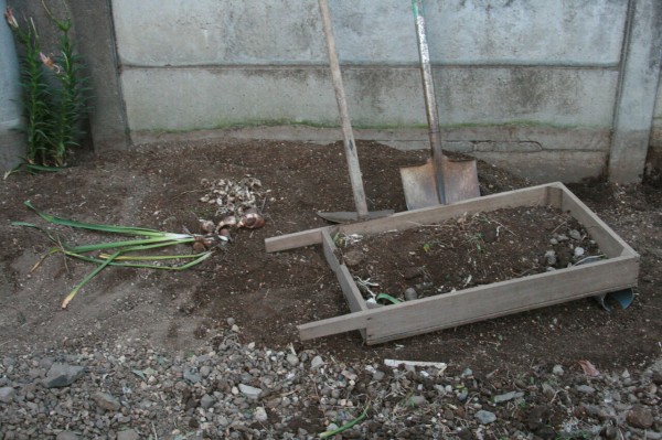 植物の生育を左右する花壇や庭木の土づくり 田中 哲のブログ