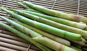 知らなかった 筍の種類 Ahisats3のブログ