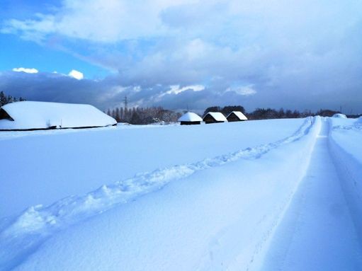 雪景色の三内丸山遺跡 Tsunami Disaster 38 阿呆船