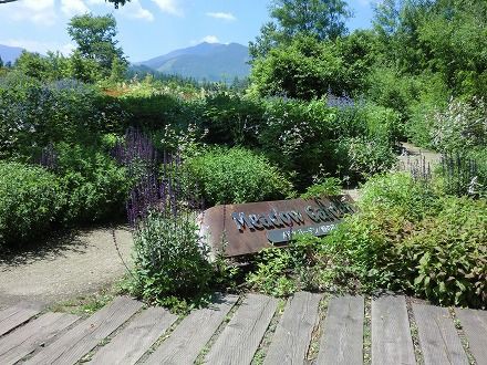 北海道ガーデン街道の旅 十勝千年の森 紫竹ガーデン オープンガーデン ターシャを夢見て