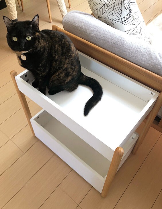 本気でマルチに使ってみた Wa Latte