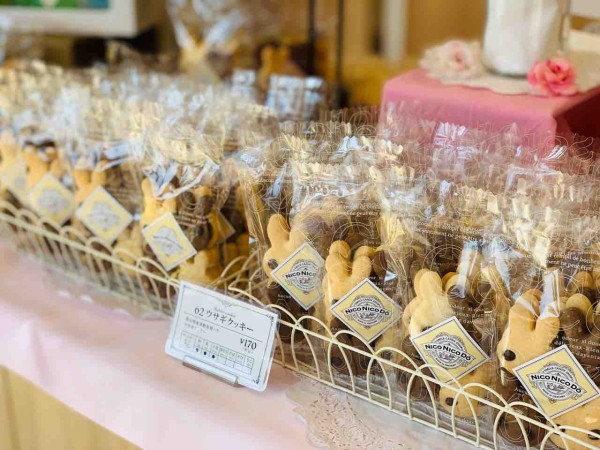 Nico Nico Do プレミアムフルーツバーと可愛いクッキーを持って後楽園に遊びに行こう 手土産にも喜ばれる岡山のアイス クッキー屋さん まるごと岡山食べ尽くし日記