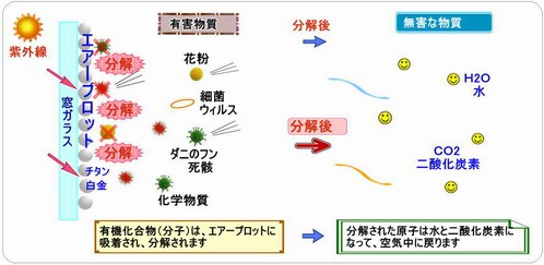 ダニのフンを分解する様子を顕微鏡写真で撮影 ダニ 症状 写真 手づくり空気改善屋