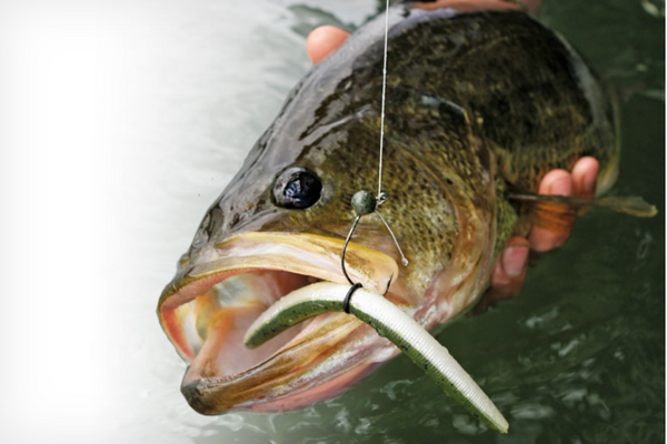 誤ってワームを食べてしまったバスの身体への影響は 釣りたいバス釣り日記