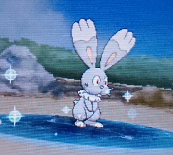 色違いホルビー ポケパルレ 徒然 もえ日和