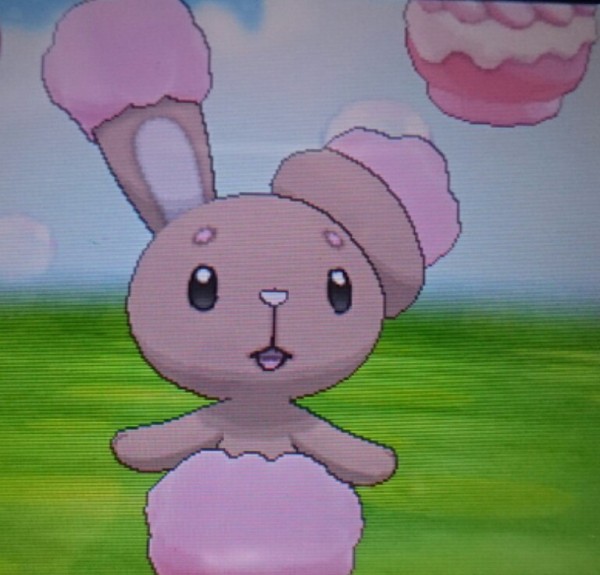 色違いミミロル ポケパルレ編 徒然 もえ日和