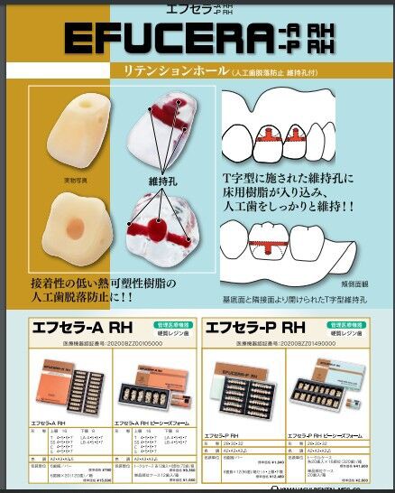 人工歯　レジン歯 ツルーバイト人工歯｜株式会社デンタルタイコニウム