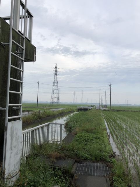 近所の川でスモールバス探し 愛和住販店長の釣りとかキャンプとか