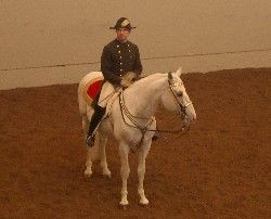 スペイン乗馬学校 In Vienna ウィーン生活 そしてカナダへ