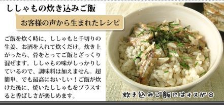 素材を楽しむレシピ ししゃもご飯 北海道 味わい楽座の楽屋裏