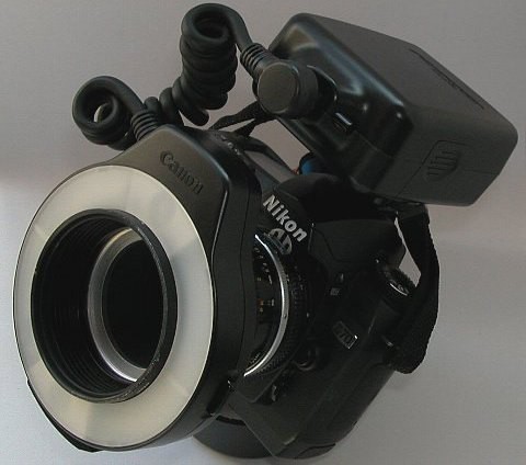 マクロリングライト ML-3 その２ : デジカメ＆カメラ日記